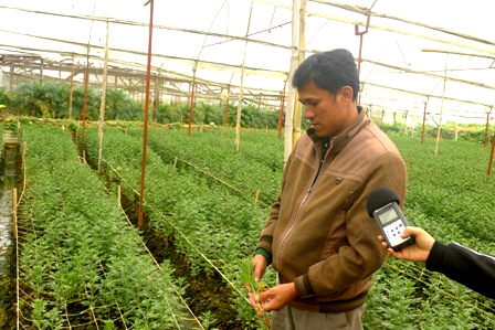 Vu Nhuan, un floricultor abanderado en aplicación de tecnología